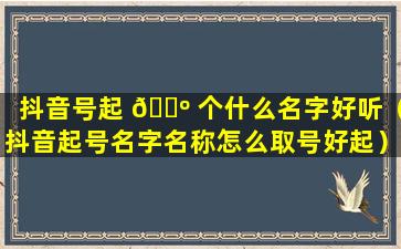 抖音号起 🌺 个什么名字好听（抖音起号名字名称怎么取号好起）